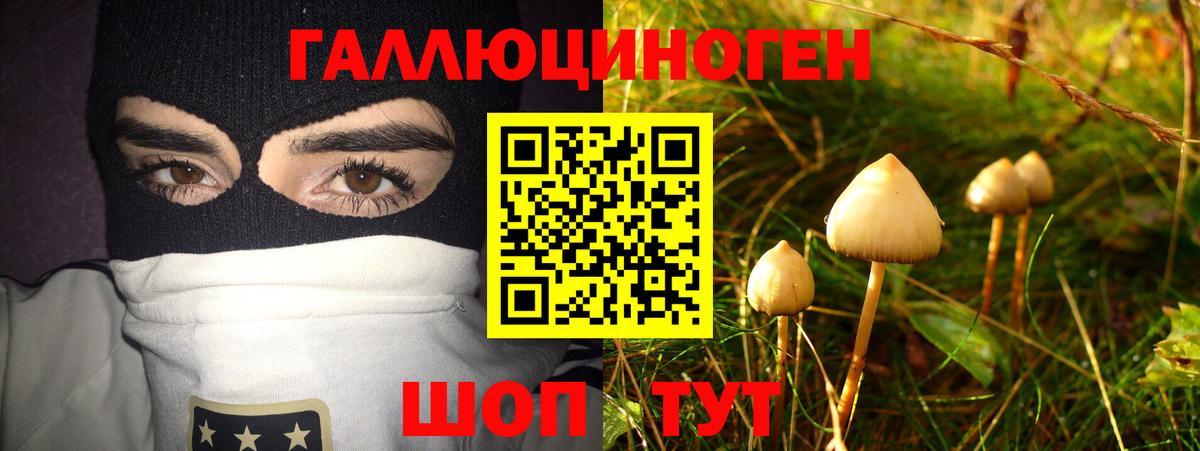 дарнет шоп  Псилоцибиновые грибы Magic Shrooms  Вход с VPN  Дубна 